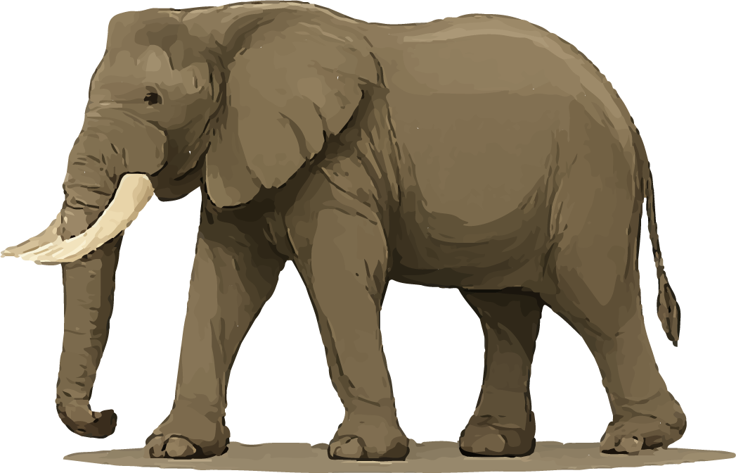 Elephants
